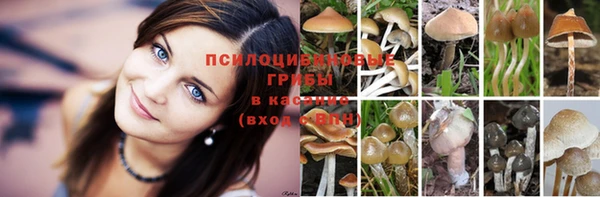 амф Нея