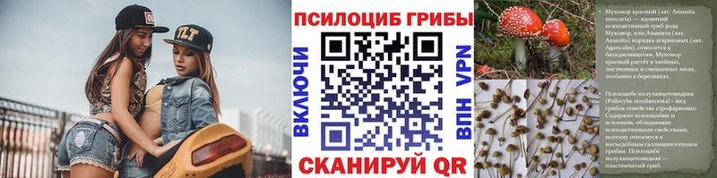 Псилоцибиновые грибы прущие грибы  Власиха 